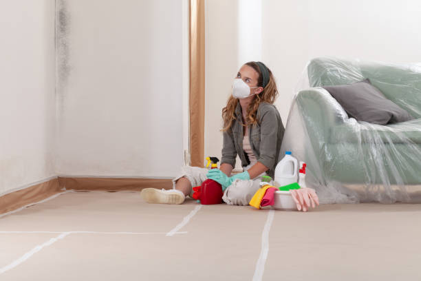 Reliable Mold Remediation contractor in Wilson's Mills, NC by Mold Remediation HQ